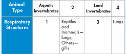 The table shows different types of animals and their respiratory structures.