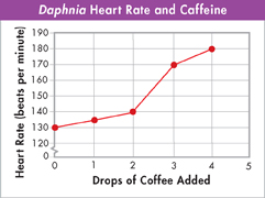 A graph titled 'Daphnia Heart Rate and Caffeine'.