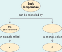 A concept map on Body Temperature.