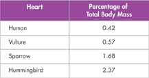 A Table shows comparison of Mass of Heart with the Body Mass.