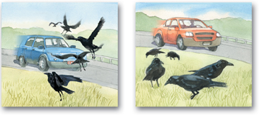 The illustration demonstrates 'Habituation' by the following two images:
 1.Birds flying while a car approaches.
 2. Birds sitting on ground while a car passes by.