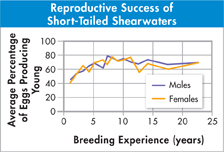 A graph demonstrating the 'Reproductive Success of Short-Tailed Shearwaters.'
