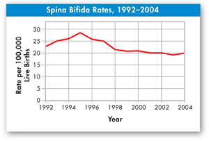 A line graph indicating spina bifida rates from 1992–2004.