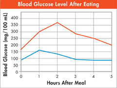 A line graph indicating the glucose levels of two people after eating a meal.