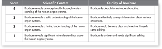 An assessment rubric with scores based on scientific content and quality of brochure.