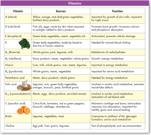 A table titled 'Vitamins' indicating the fourteen essential vitamins with their sources and functions.