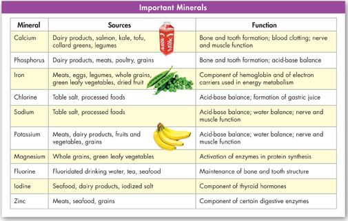 A table titled 'Important Minerals' indicating the ten important minerals with their sources and functions.