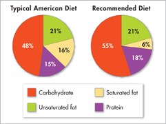 Two pie charts. The one on the left indicates typical American diet and the one on the right indicates recommended diet.