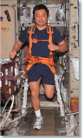 An astronaut exercising on a  treadmill.