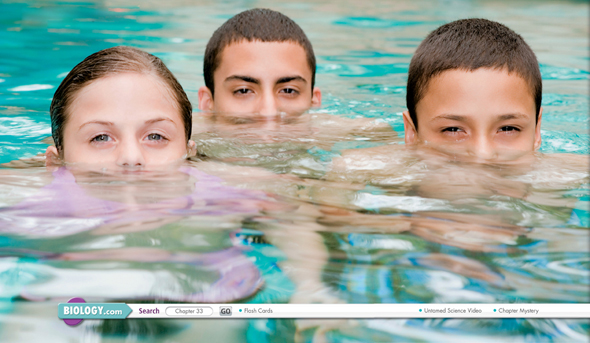 Children swimming in a pool.
