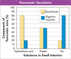Bar graph titled 'Pancreatic Secretions' shows the data of 'Substance in Small Intestine' and 'Components of Pancreatic Juice (in percentage)'.