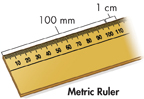 A metric scale showing 100 millimeters and 1 centimeter.