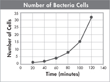 Graph titled 'Number of Bacteria Cells' gives the information of 'Time in minutes' and 'Number of Cells'.