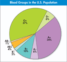 Pie chart titled 'Blood Groups in the U.S. Population'.