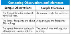 Table titled 'Comparing Observations and Inferences' gives information of 'Sample Observations' and 'Sample Inferences'.
