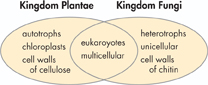 A sample Venn diagram.