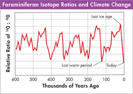 Graph titled 'Foraminiferan Isotope Ratios and Climate Change' shows the data of 'Last warm period', ' Last ice age' and 'today'.