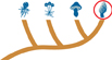 In the life chart of Fungi Kingdom, icon of 'Ascomycetes' is highlighted.