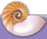 A snail.