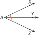 Angle XAZ is divided into two equal angles by ray AY.