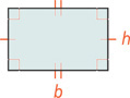 A rectangle has two equal base sides, b and two equal height sides, h, with all four angles as right angles.