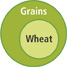Circle Grains contains circle Wheat.