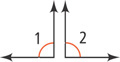 Angles 1 and 2 together form a straight angle.