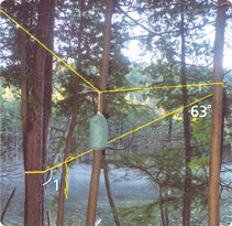 A bear bag system has rope extending between two parallel trees. Angle 1 is below the rope right of the left tree. The angle below the rope left of the right tree is 63 degrees.
