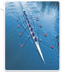 A rowing crew sits in a line on a boat, with the oars on each side at the same angle with the boat.