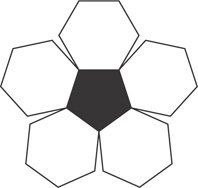 A regular pentagon has sides of regular hexagons spanning each side.