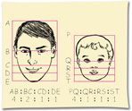 A sketch of a man’s head has five horizontal lines from A at the top to E on bottom, with AB:BC:CD:DE as 4:2:1:1. A sketch of a baby’s head has five horizontal lines from P at the top to T on bottom, with PQ:QR:RS:ST as 4:1:1:1.