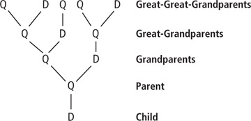 A tree diagram of five generations of bees.