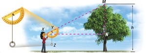 A person holds an inclinometer next to a tree of height h. A large right triangle has leg MN along the tree opposite angle X at the person’s eyes. A smaller right triangle has string, falling from the hole of a protractor, forming leg YZ opposite angle X.
