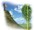 A person holds an inclinometer on the top of a hill, with point P on the hill, and a tree of height h at the bottom of the hill.