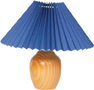 A lampshade surrounds a lamp.