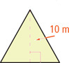 A triangle has height measuring 10 meters.