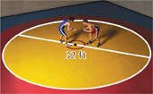A circular wrestling mat has diameter 32 feet.