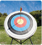 An archery target consists of concentric circles, colored yellow, red, blue, black, and white, from inside out.