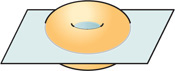 A horizontal plane intersects the middle of a donut-shaped solid, with vertical hole.