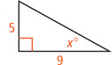 A right triangle has a leg measuring 5 opposite angle measuring x degrees, and other leg measuring 9.