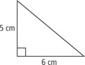 A triangle has a right angle between sides measuring 5 centimeters and 6 centimeters.