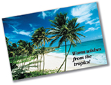 A postcard from a tropical island with palm trees along a beach. The words on the postcard read "Warm wishes from the tropical". 