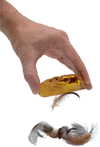 A hand holds a piece of amber over a pile of small feathers. One feather is attached under the piece of amber. 