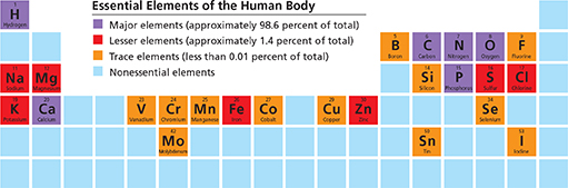 A table showing the essential elements of the human body. 