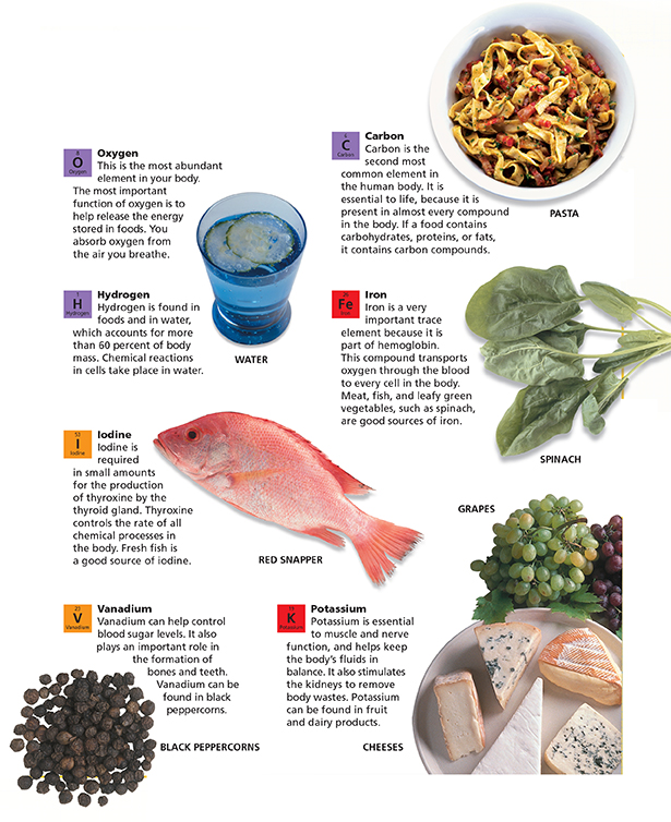 The roles of the essential elements found in food items. 