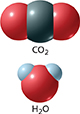 Diagram of a carbon dioxide molecule. On the top is the carbone dioxide molecule, showing how the polar bonds cancel out. Below it is the molecule for water, showing how the polar bonds do not cancel out.
