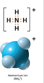 Diagram of the atoms in a positively-charged ammonion bond made up of four hydrogen atoms and one nitrogen atom, demonstrating the joining of the atoms by covalent bonds.