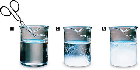 Three beakers in a row. The first beaker has a pair of tongs in it and is halfway filled with liquid. The second beaker has crystalization forming. The third beaker shows complete crystallization. 