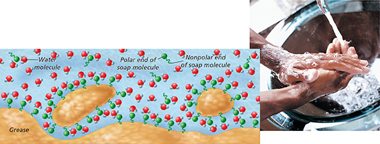 A diagram of soap and water being used to wash hands. The diagram represents water molecules, grease from the skin, and soap molecules. 