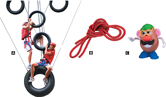 A set of three images. The first image shows two young adults climbing on a series of tires suspended in the air. The sceond image shows a thick rope tied into a heavy knot. The third image shows a Mr. Potato Head figureine.